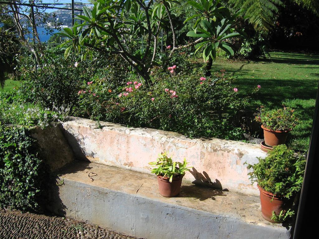 Vila Quinta Sao Goncalo Funchal  Exteriér fotografie