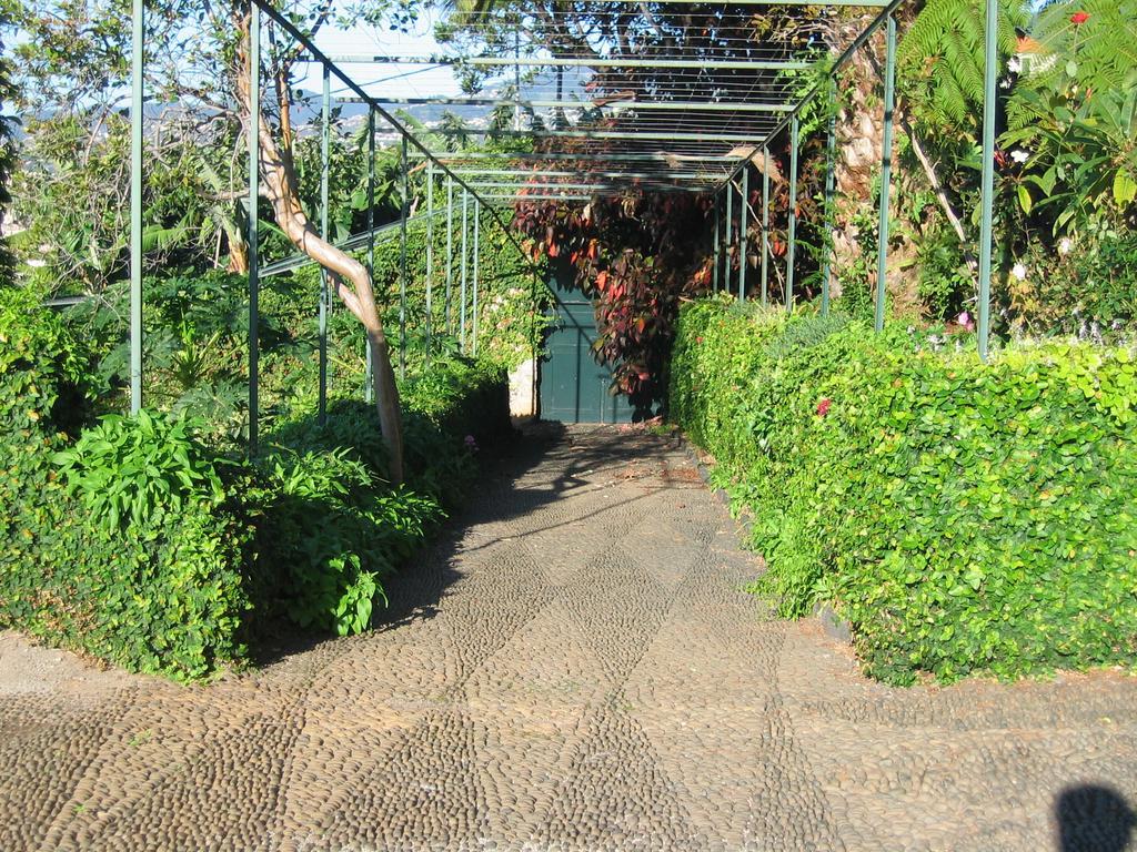 Vila Quinta Sao Goncalo Funchal  Exteriér fotografie